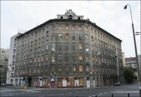 zdjęcie Złota 81
