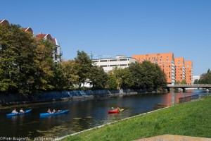 zdjęcie Aura Island
