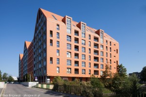 zdjęcie Aura Island