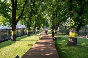 zdjęcie Home Concept Design Park