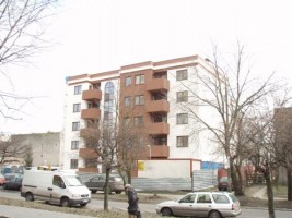 zdjęcie Mokra 6
