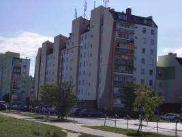 zdjęcie Budryka 14
