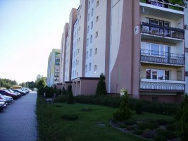 zdjęcie Budryka 14