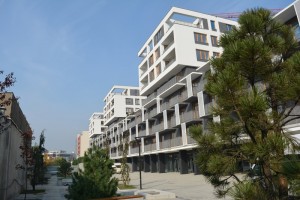II etap