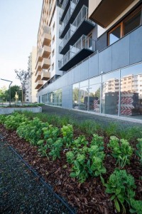 etap IV - prace wykończeniowe