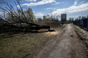 przygotowywanie działki pod inwestycję