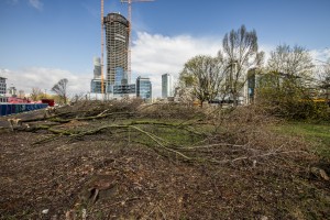 przygotowywanie działki pod inwestycję