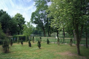 zdjęcie Nad Jeziorem