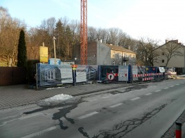 zdjęcie Stella Prima