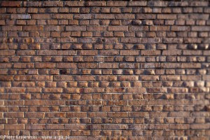 zdjęcie Dom Pomocy Społecznej im. Brata Alberta