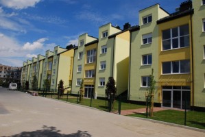 zdjęcie Wille Słoneczniki