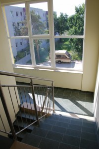 zdjęcie Wille Słoneczniki