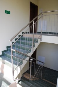 zdjęcie Wille Słoneczniki