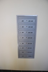 zdjęcie Wille Słoneczniki