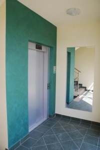 zdjęcie Wille Słoneczniki