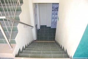 zdjęcie Wille Słoneczniki