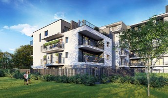 zdjęcie Nova Ochota