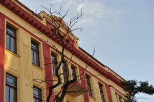 zdjęcie Kościuszki 39