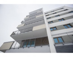 V etap
