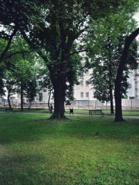 zdjęcie Barciński Park V