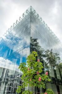 zdjęcie Archiwum Narodowe