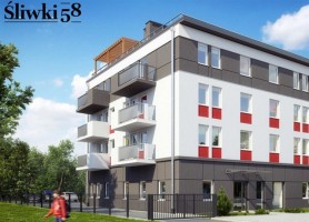 zdjęcie Śliwki 58