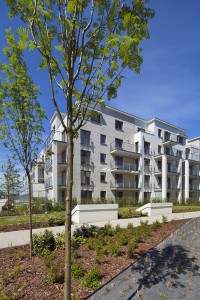 zdjęcie Wzgórze Focha