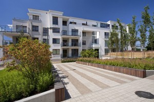 zdjęcie Wzgórze Focha