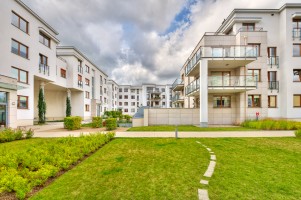 zdjęcie Wzgórze Focha