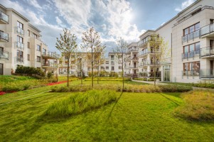 zdjęcie Wzgórze Focha