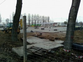 zdjęcie Galeria Gryf