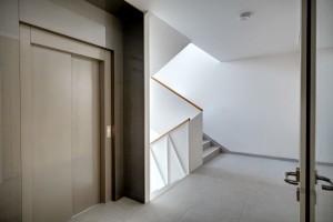 zdjęcie Evergreen365