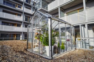 zdjęcie Evergreen365