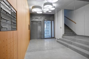 zdjęcie Evergreen365