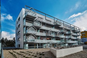 zdjęcie Evergreen365