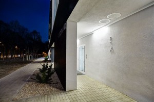 zdjęcie Evergreen365