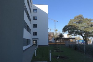 prace wykończeniowe