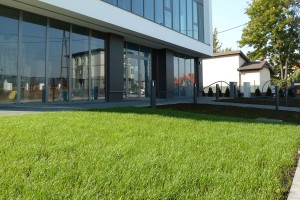 zdjęcie Sigma Office