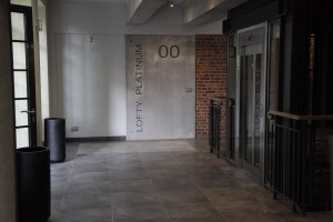 zdjęcie Lofty Platinum