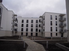 prace porządkujące teren inwestycji