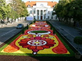 zdjęcie Pałac Mniszchów