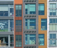 zdjęcie Galeria Hosso