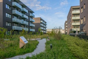 zdjęcie Wilania Wiktoria Wioletta