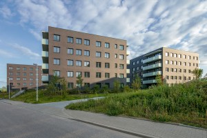 zdjęcie Wilania Wiktoria Wioletta