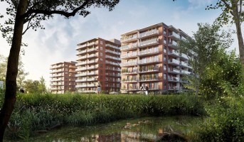zdjęcie z budowy Wyspa Solna