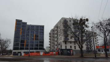 zdjęcie Pomarańczarnia