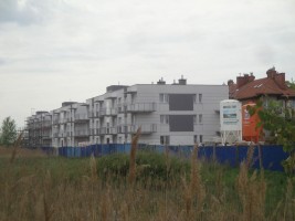 zdjęcie Wrzosowa Aleja