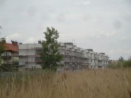 zdjęcie Wrzosowa Aleja