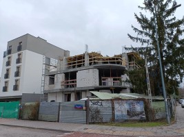 zdjęcie Wiarusów 20