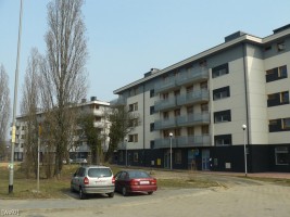 zdjęcie Osiedle Polonia I
